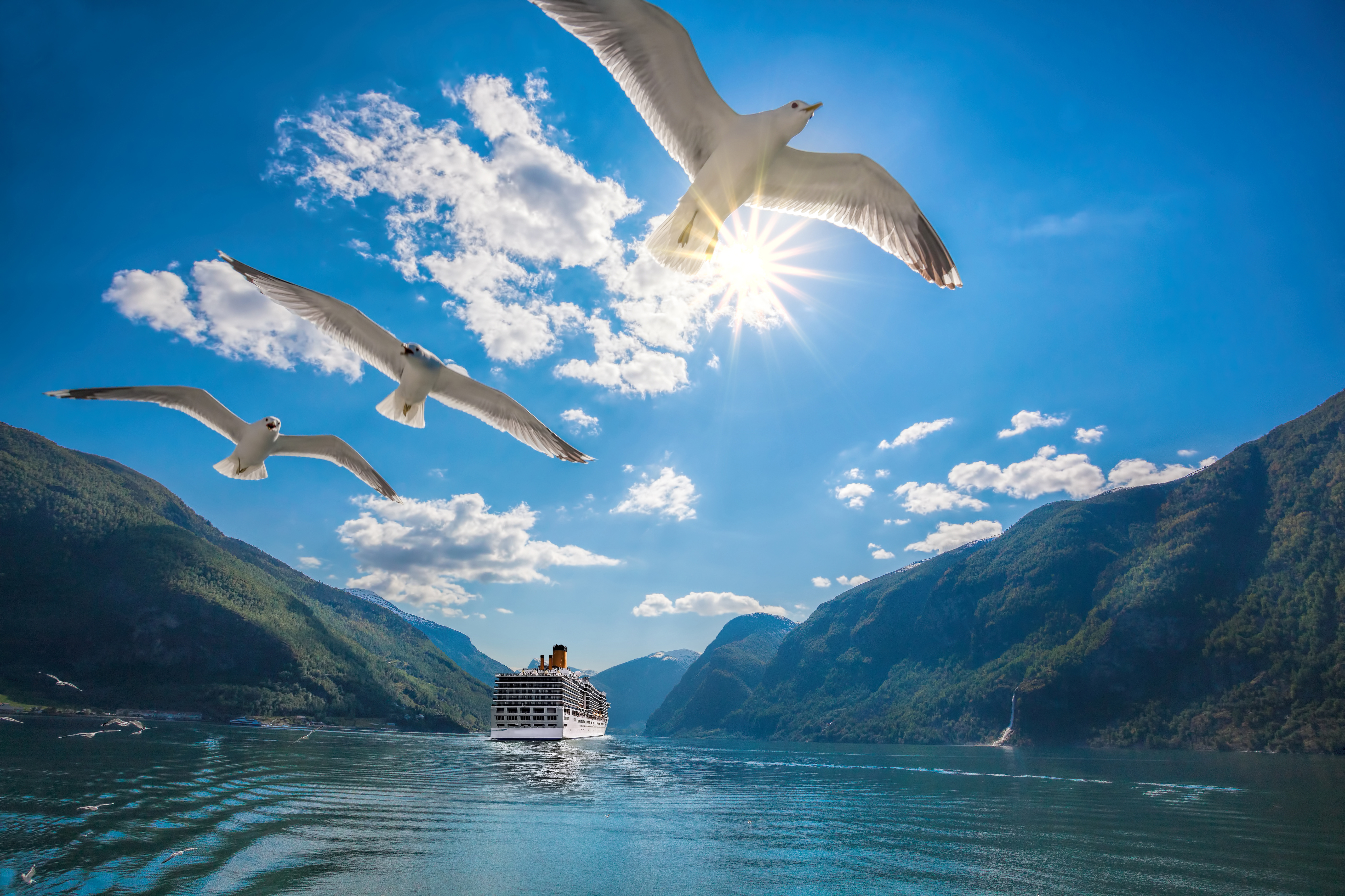 royal caribbean cruise offer
