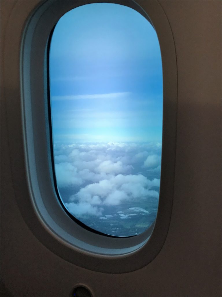 b787 Window dimming