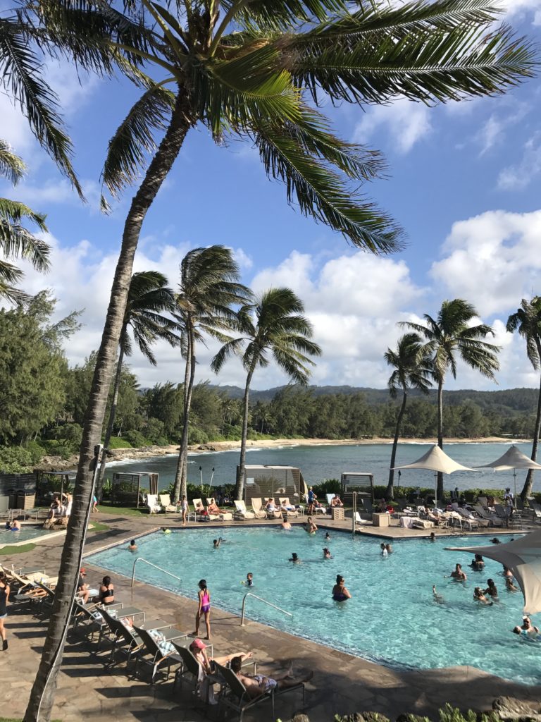 Turtle Bay Resort review
