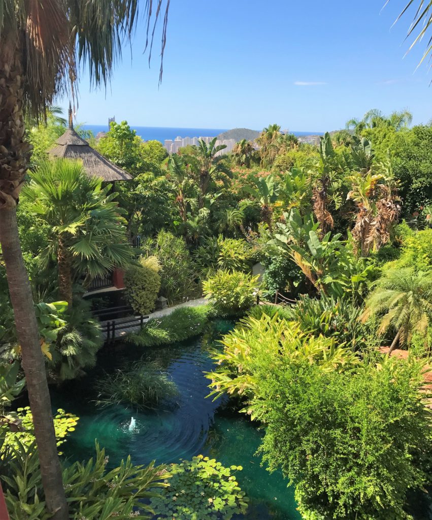 Asia Gardens Barcelo review