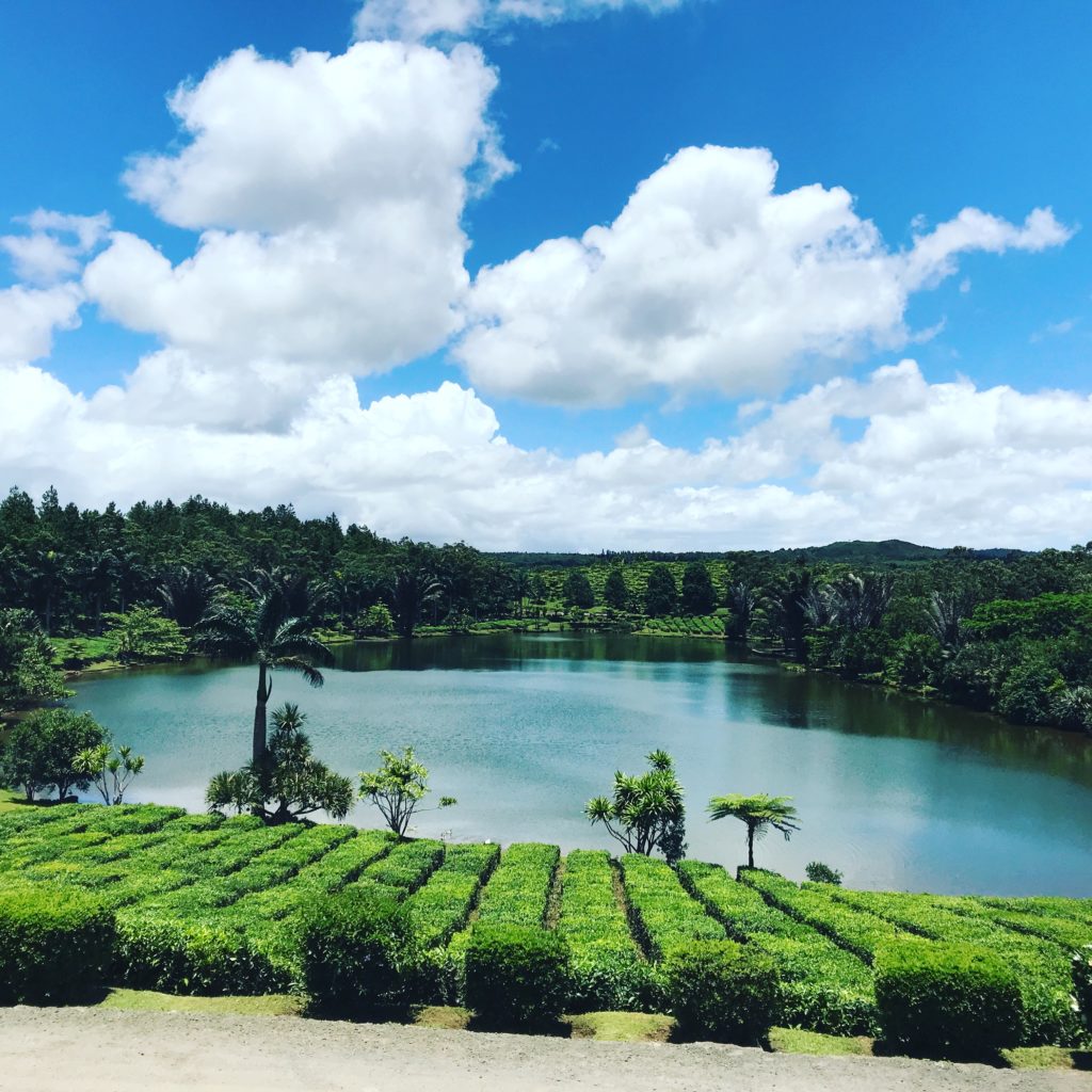 Ravenala Attitude Mauritius review Ravenala Attitude Mauritius review
