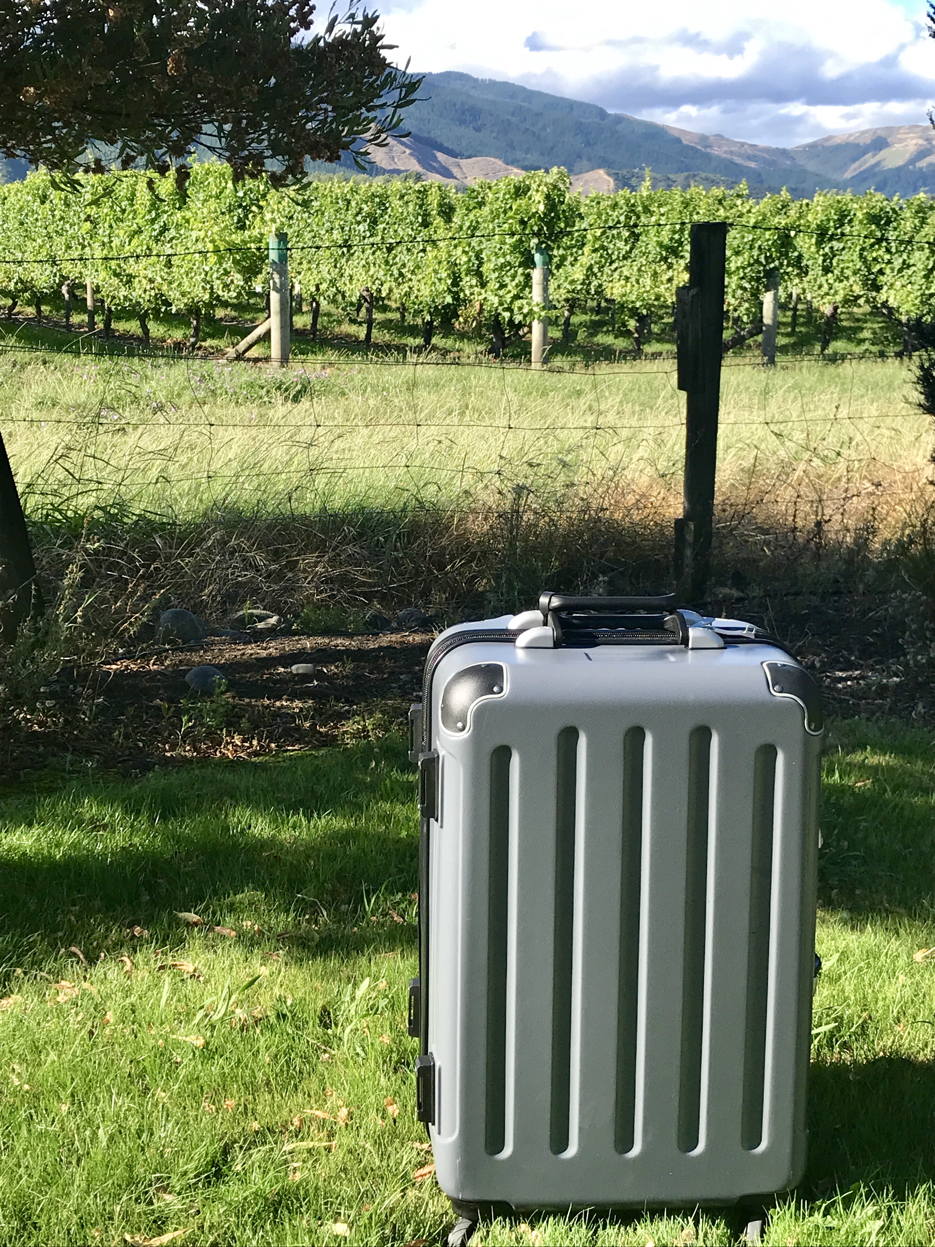 VinGardeValise wine suitcase review