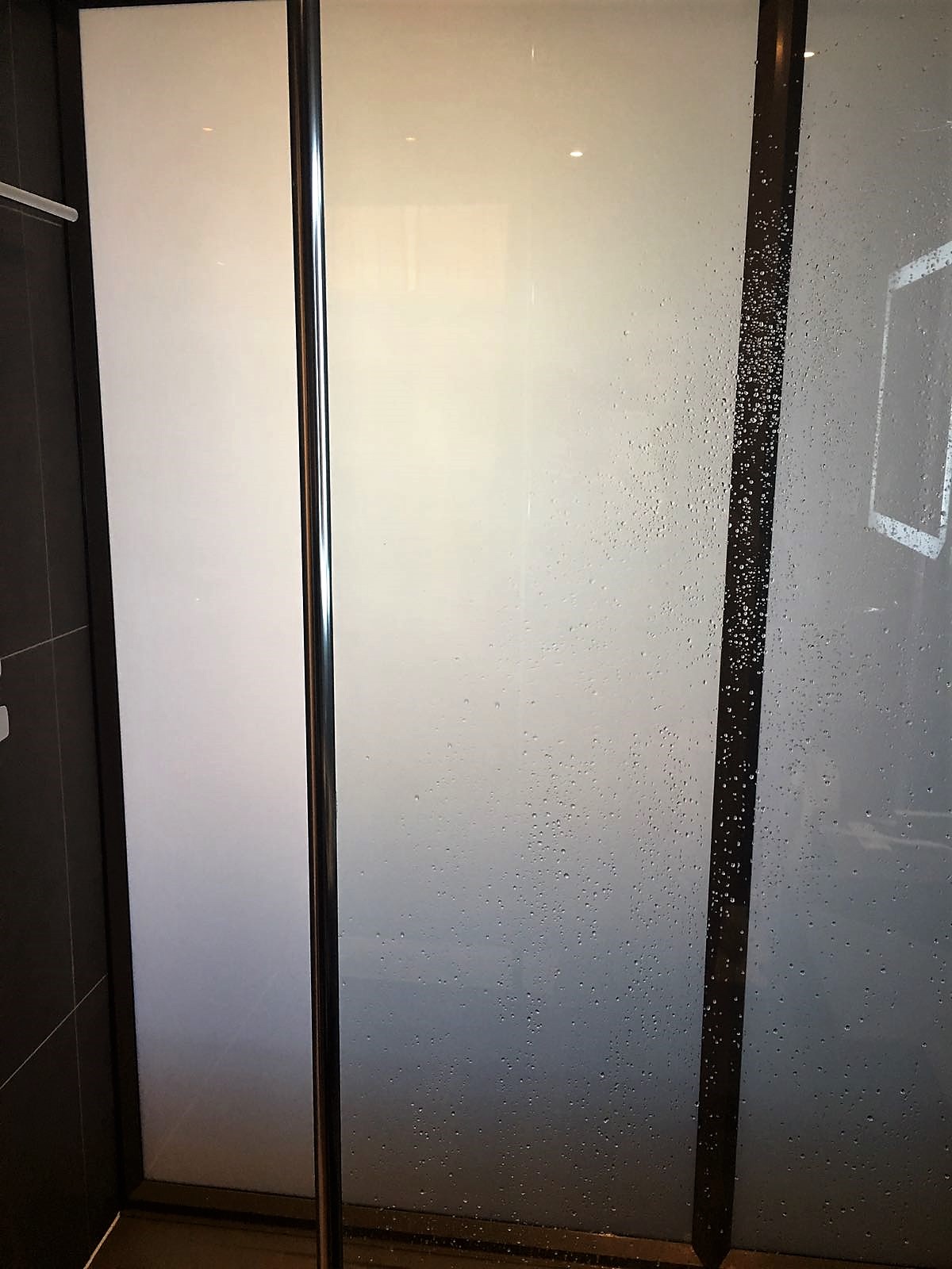 Novotel Heathrow Terminal 1,2,3 review shower door frosted