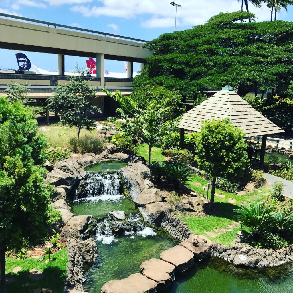 American Airlines First to Los Angeles-Honolulu domestic review HNL airport