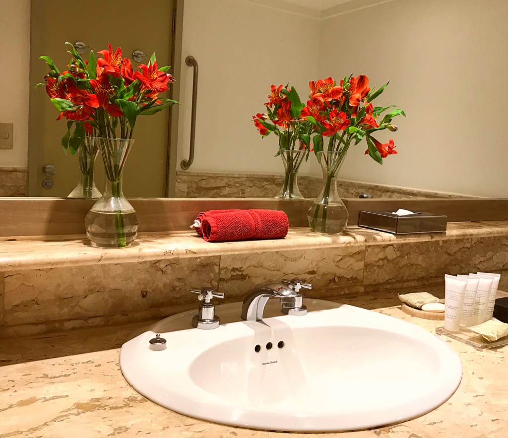 Intercontinental Hotel Sao Paolo Brazil review sink