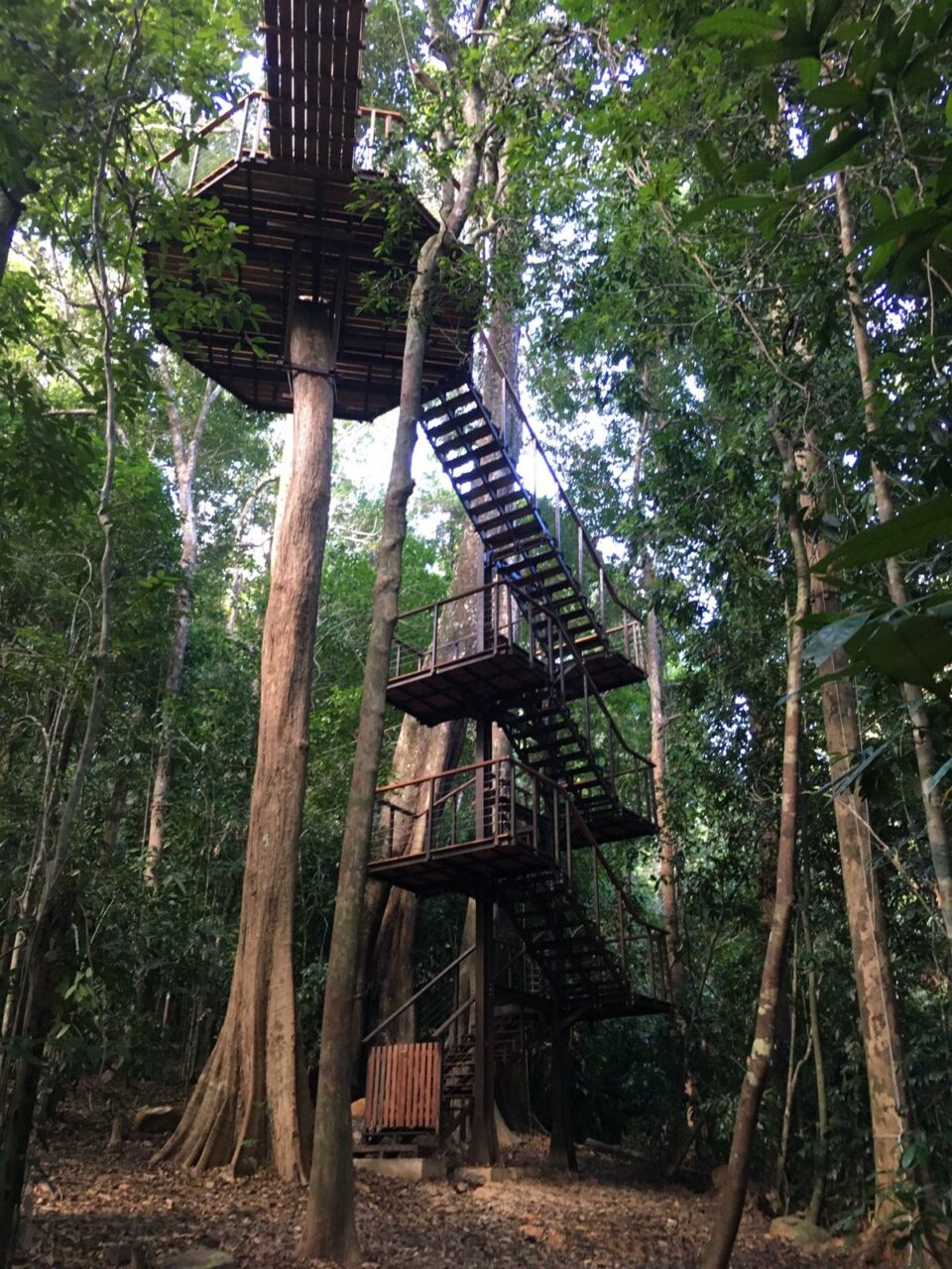 staircase at The Datai Langkawi 