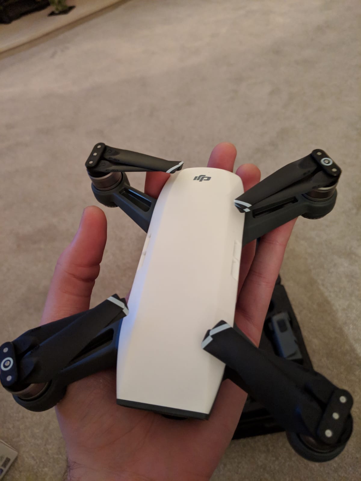 DJI Mavic Mini