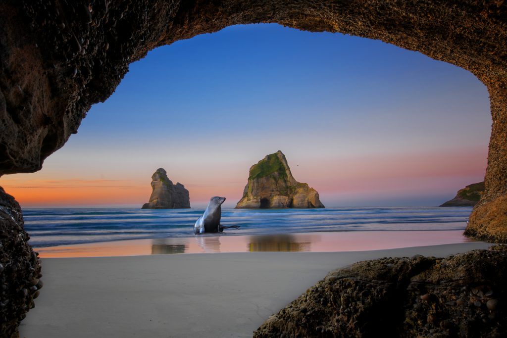 wharariki beach new zealand