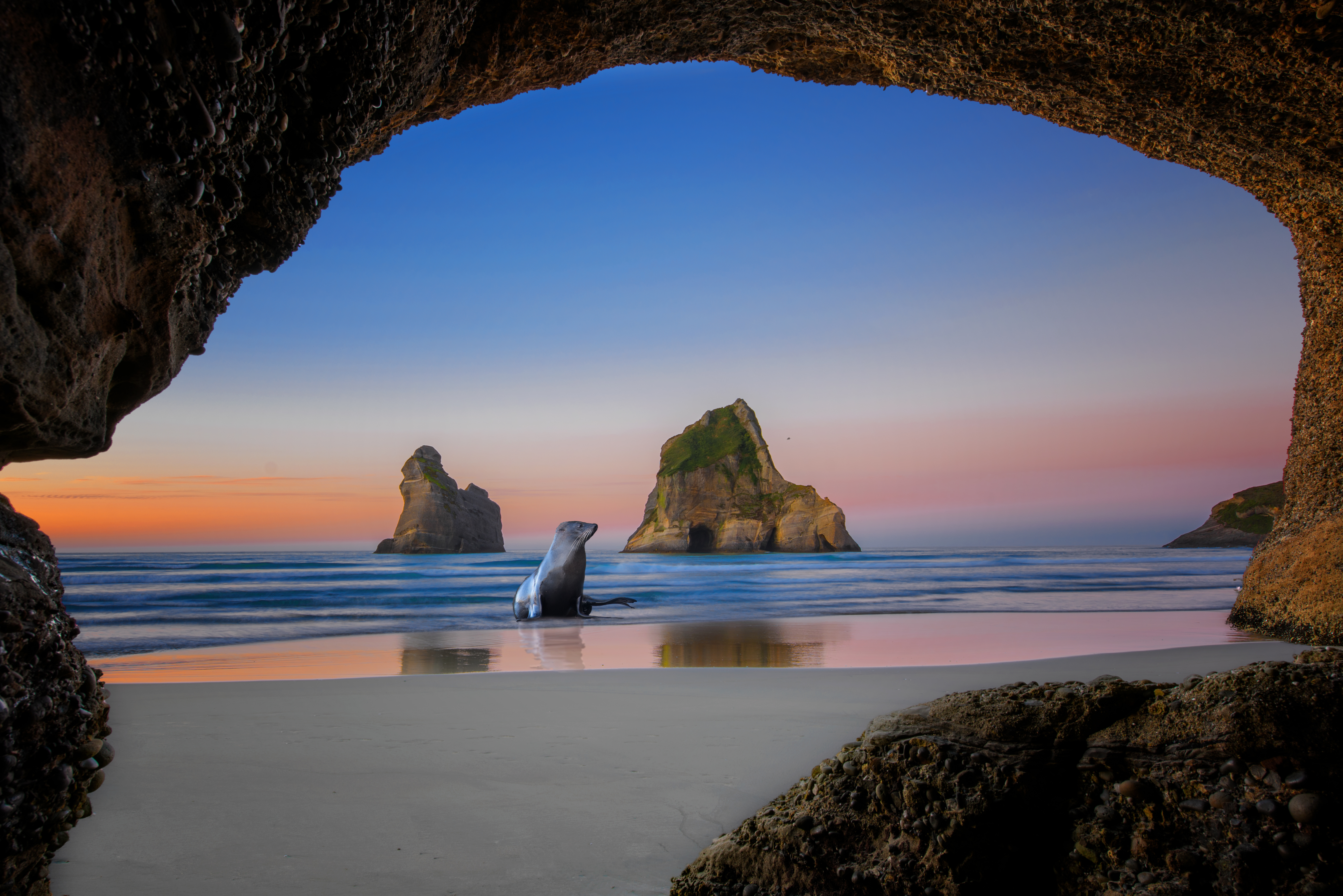 wharariki beach new zealand