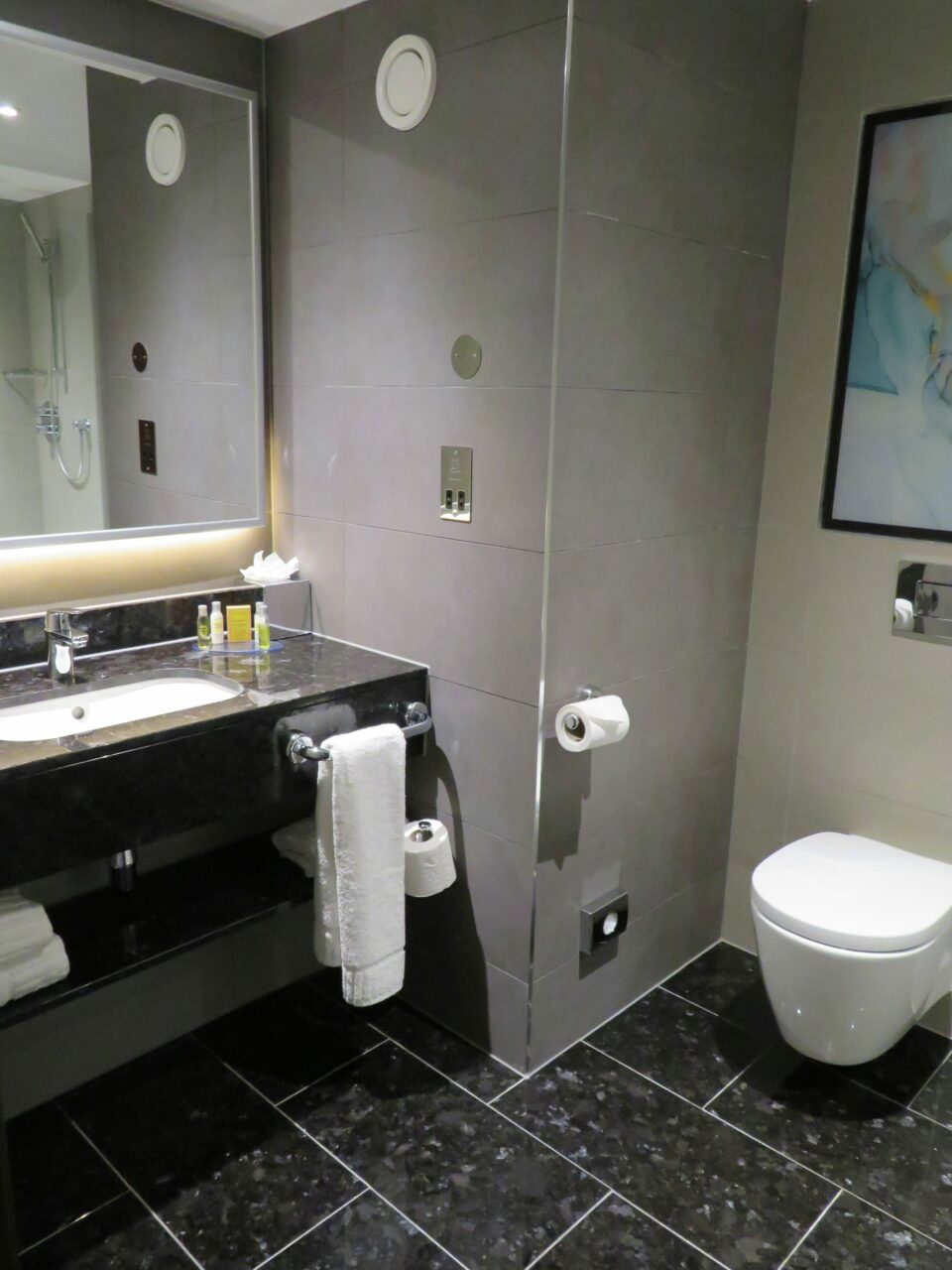 Hilton Garden Inn Hotel T2 Bathroom