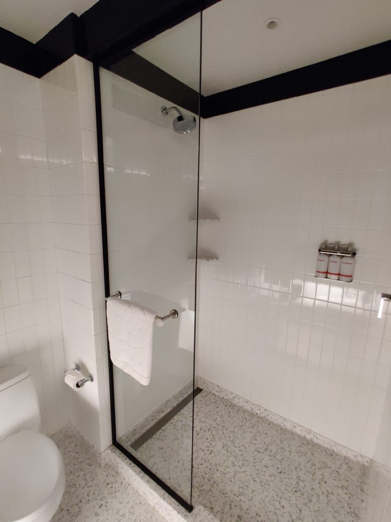 The TWA Hotel Shower Room