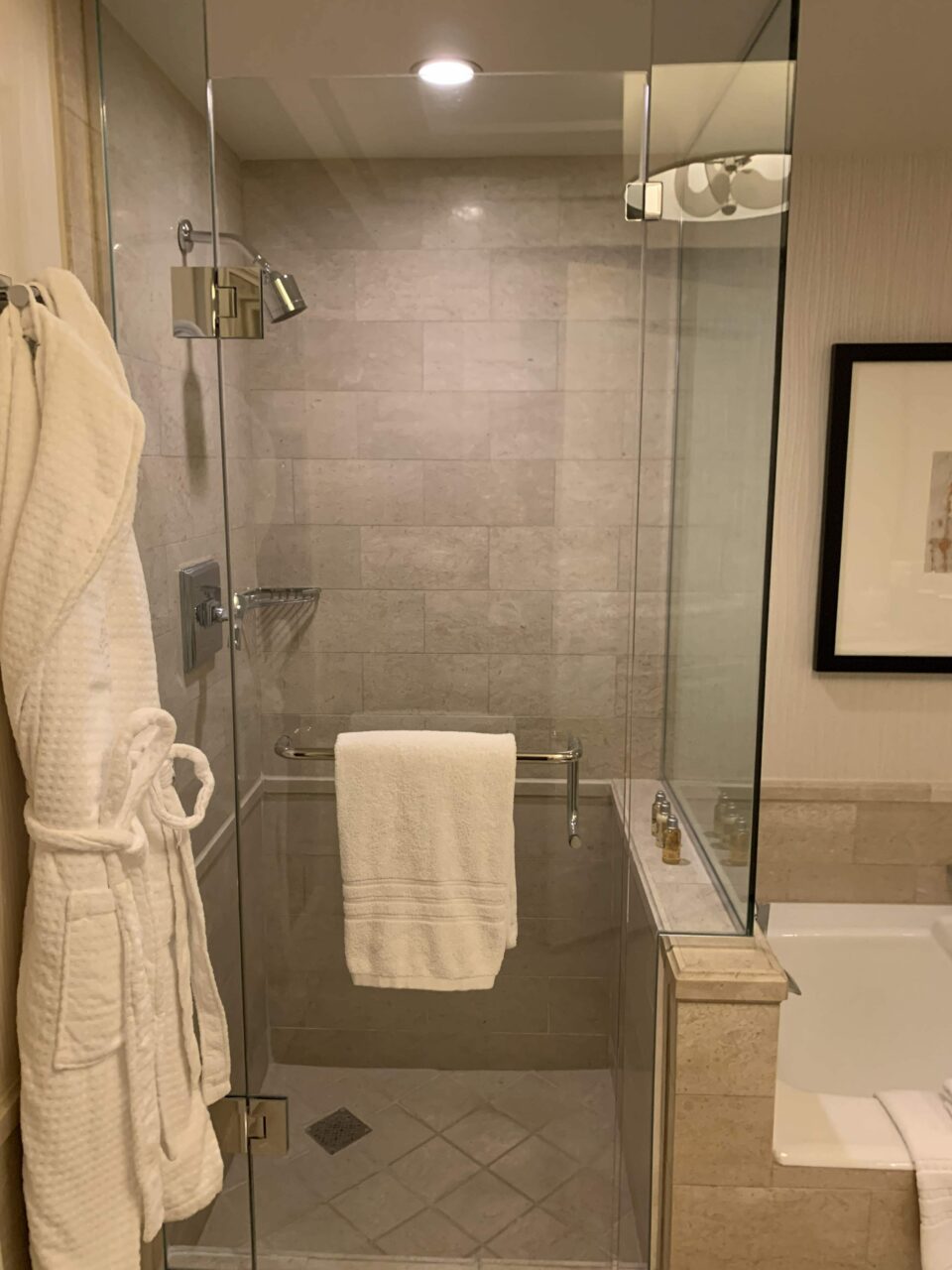 Four Seasons hotel Las Vegas Shower Room