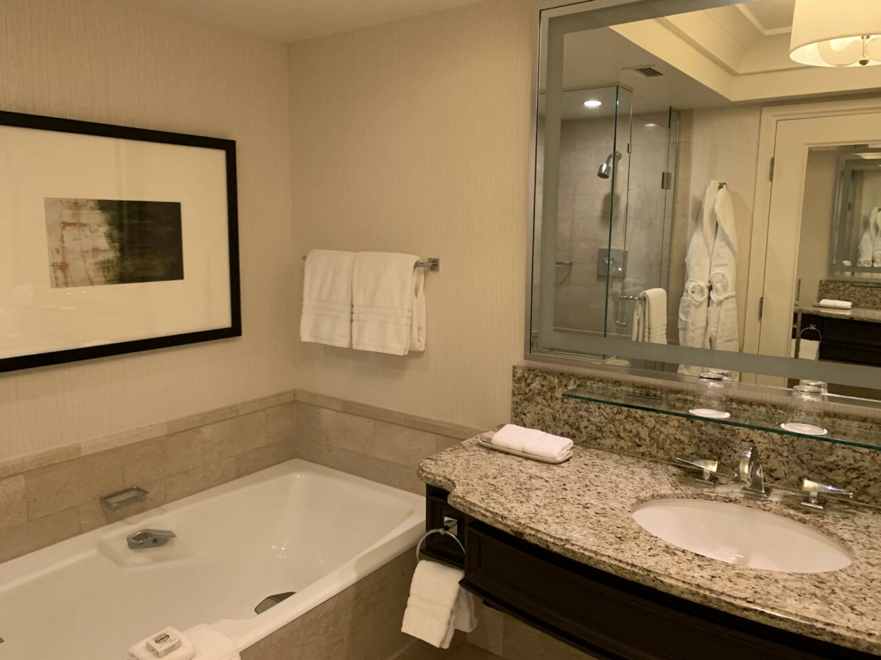 Four Seasons hotel Las Vegas Bathtub