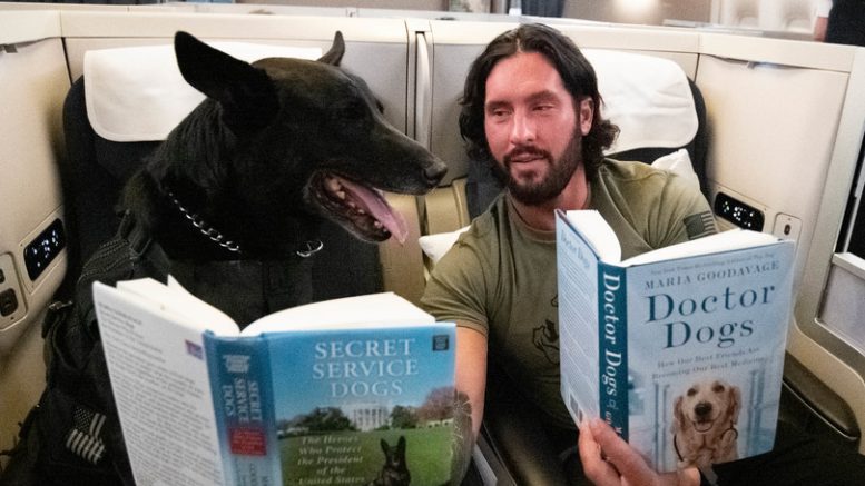 british airways dogs on board