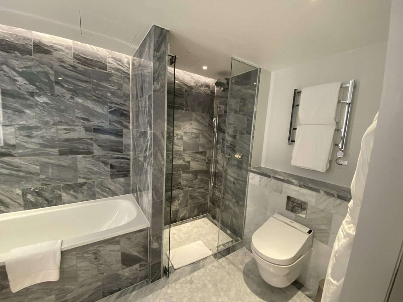 Biltmore Hotel Mayfair Toilet