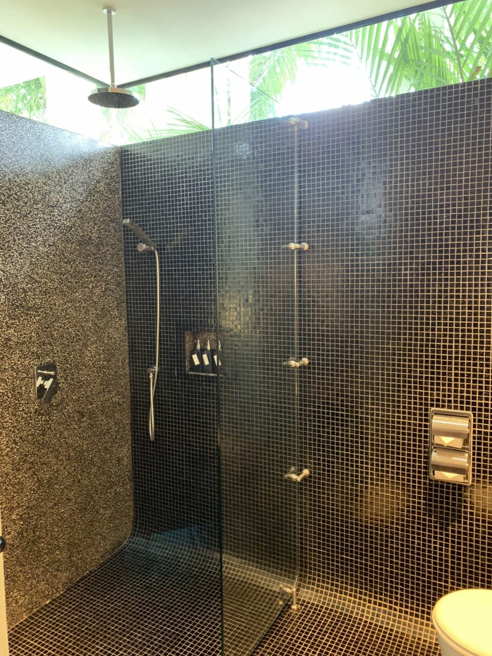 Viroth’s Hotel Shower