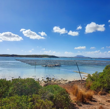 Coffin Bay Oyster Farm, SA