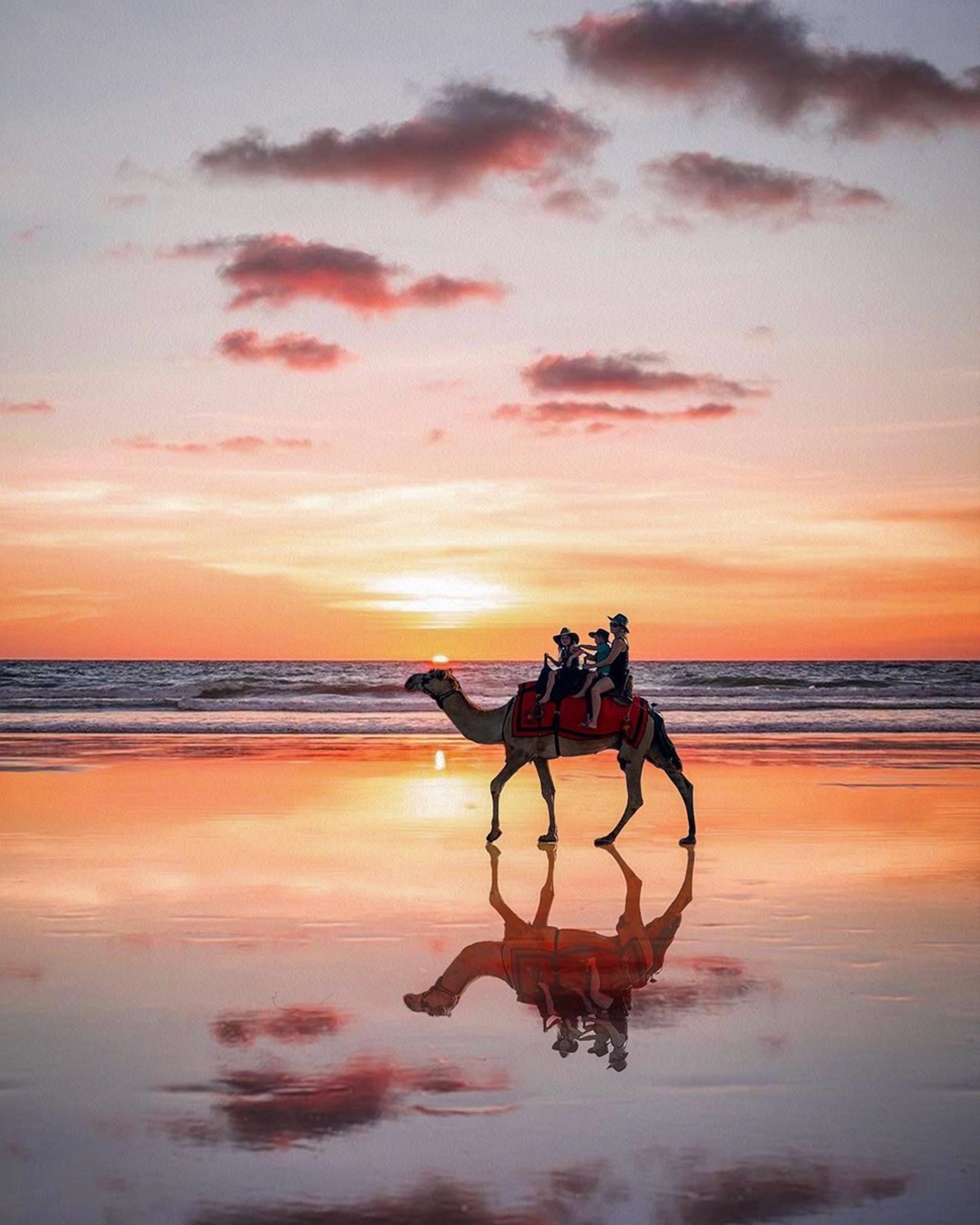 Sunset camel ride in Broome, WA