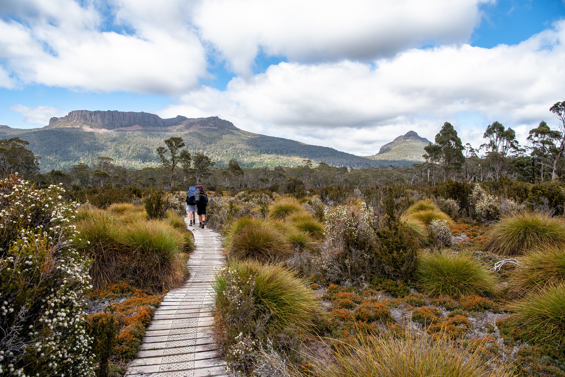 Cradle Mountain Track, Tasmania