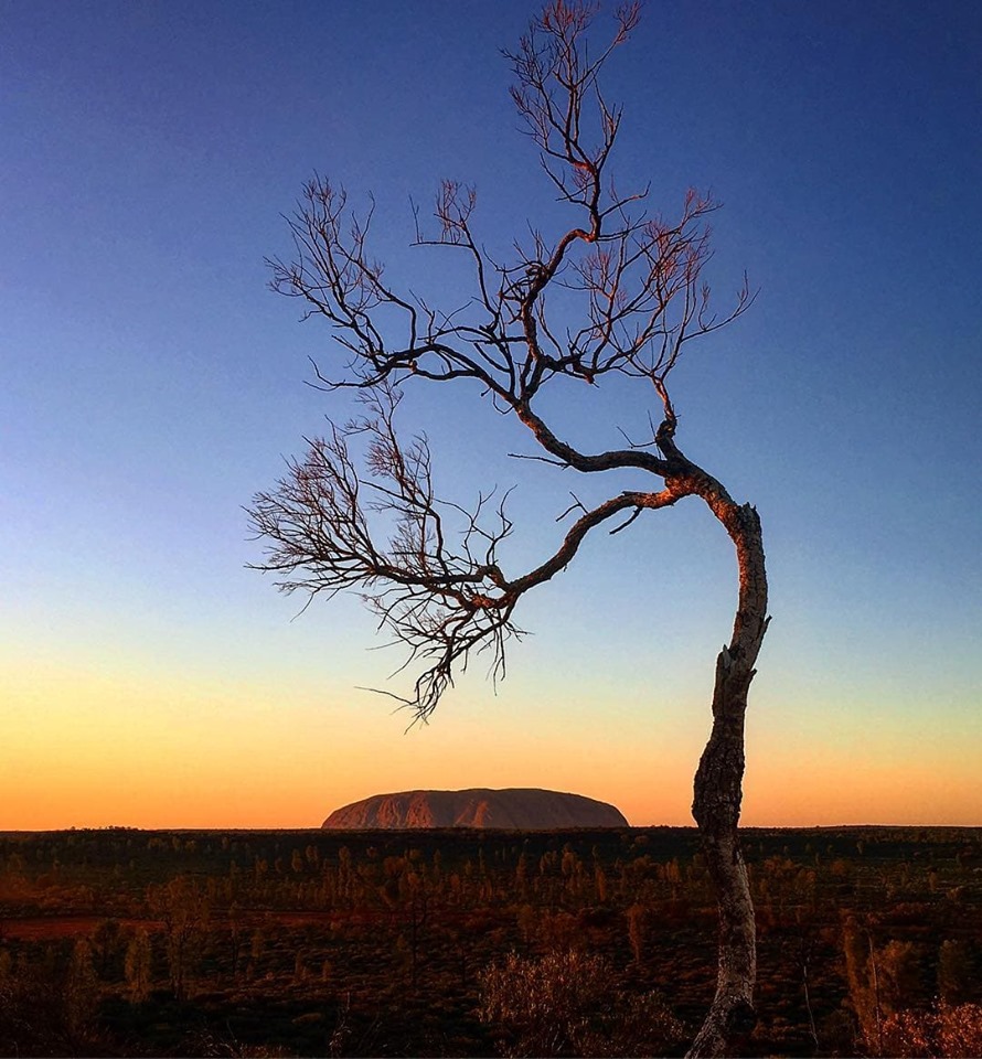 Sunrise over Uluru, NT