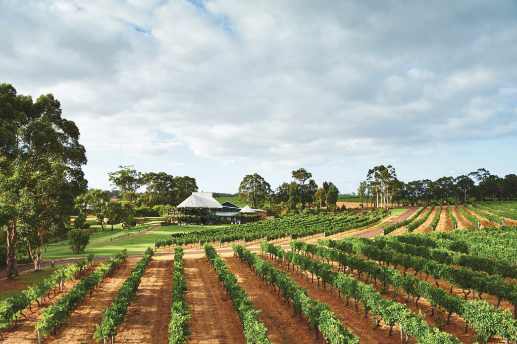 Vasse Felix Winery, Margaret River