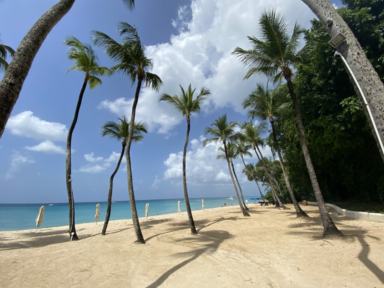 Beach at Fairmont Royal Pavilion Hotel