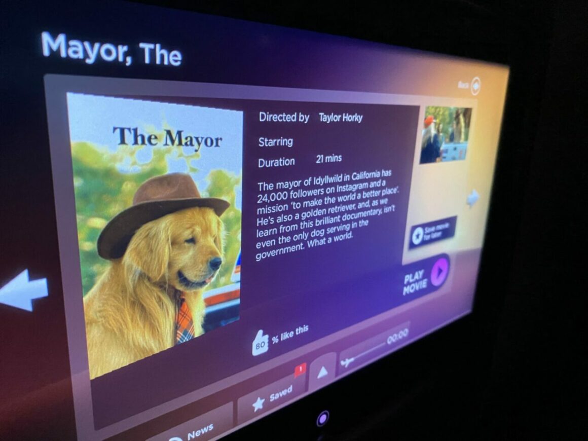 Movie, The Mayor 