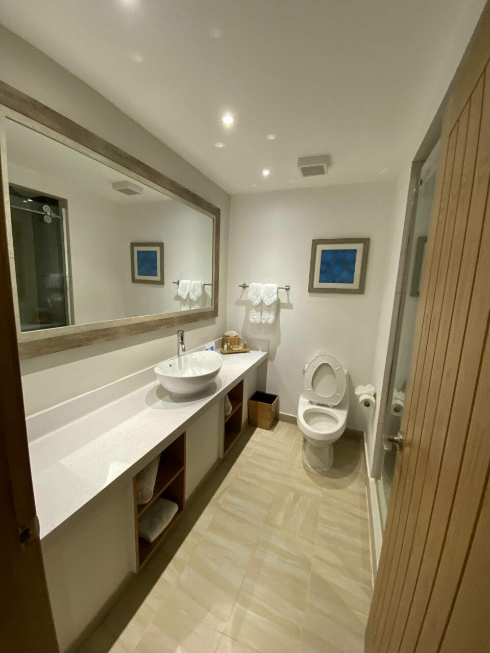 Waves Hotel Barbados Marriott Tea Bathroom