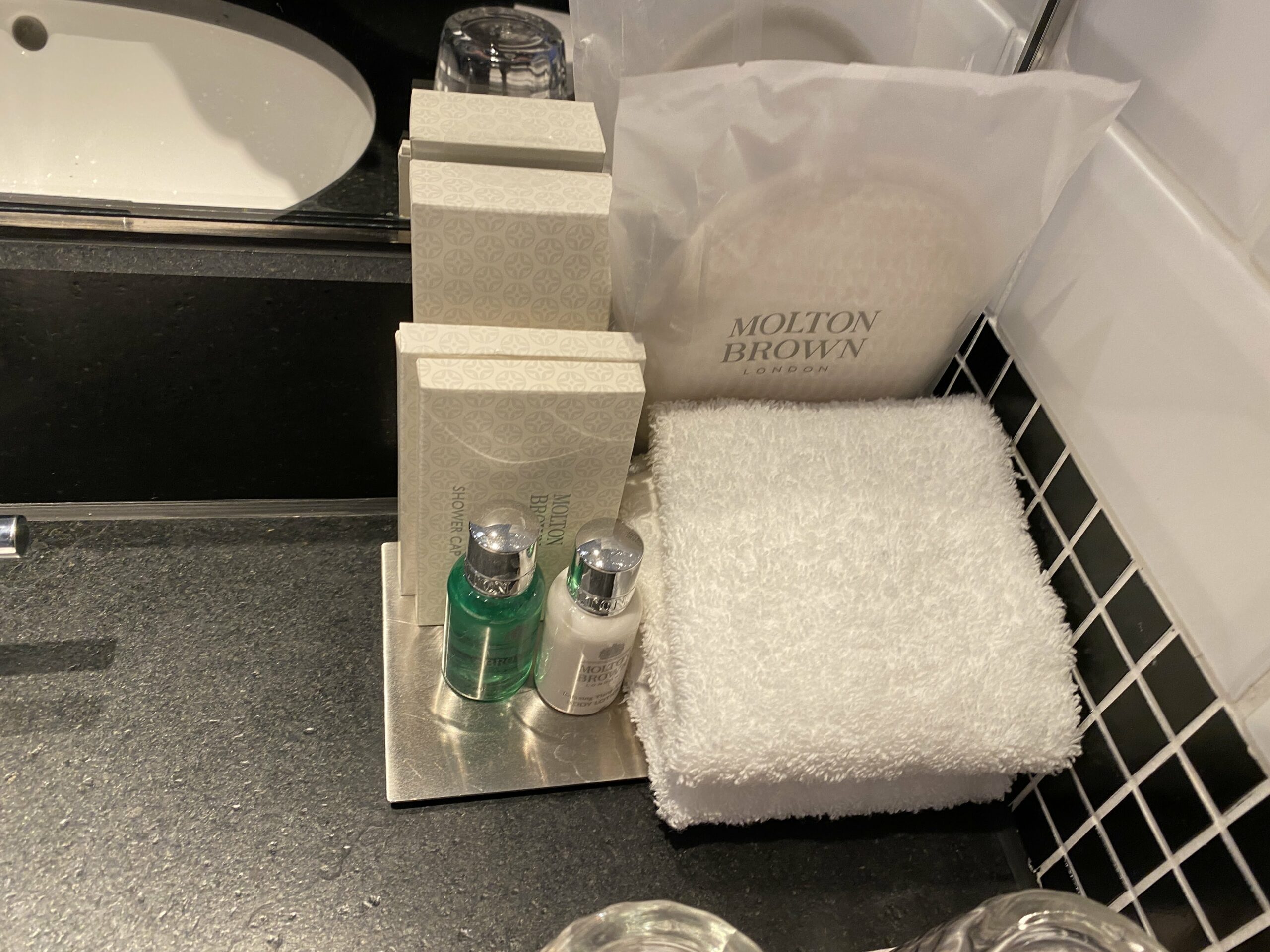 Sheraton Grand London Park Lane Amenities