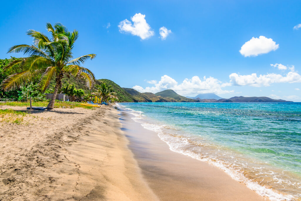 White sandy beach with palm tree in Saint Kitts, Caribbean.
