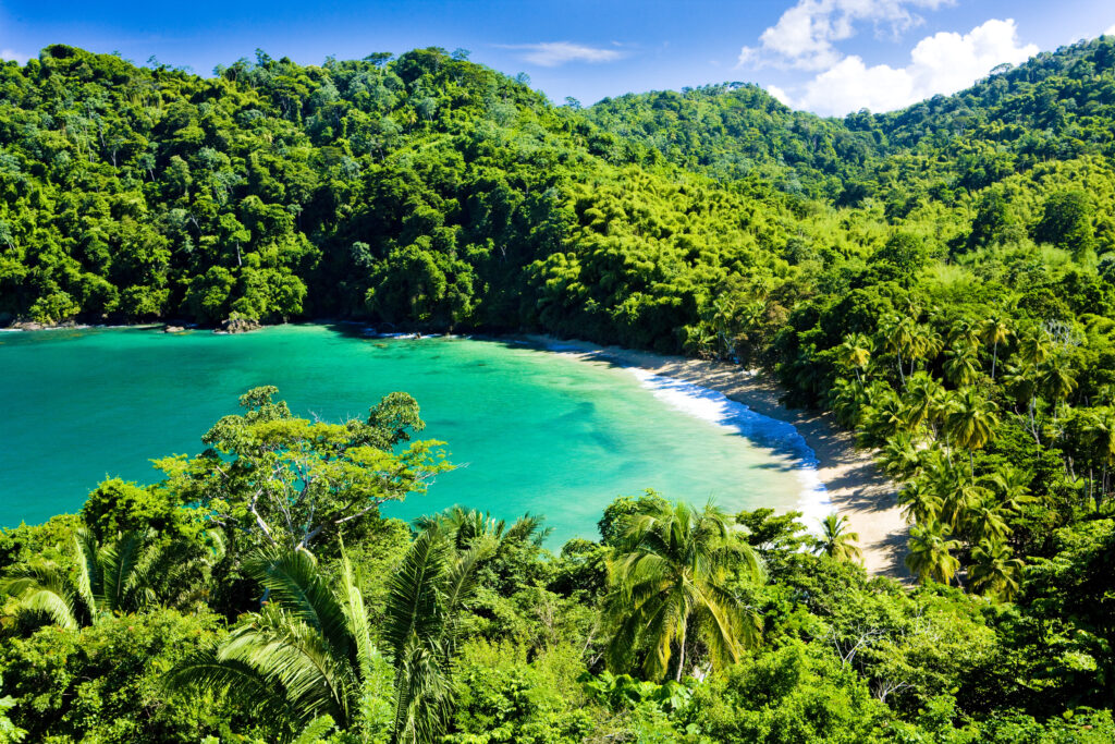 Englishman's Bay, Tobago