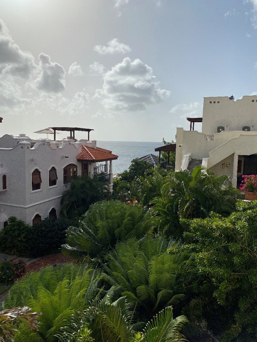 View from our room at Cap Maison- the gardens in St Lucia