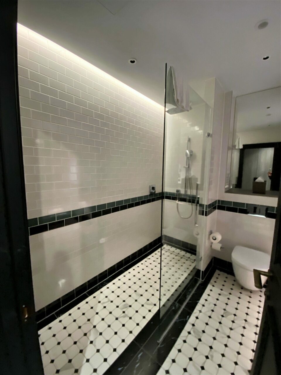 The Dixon hotel toilet