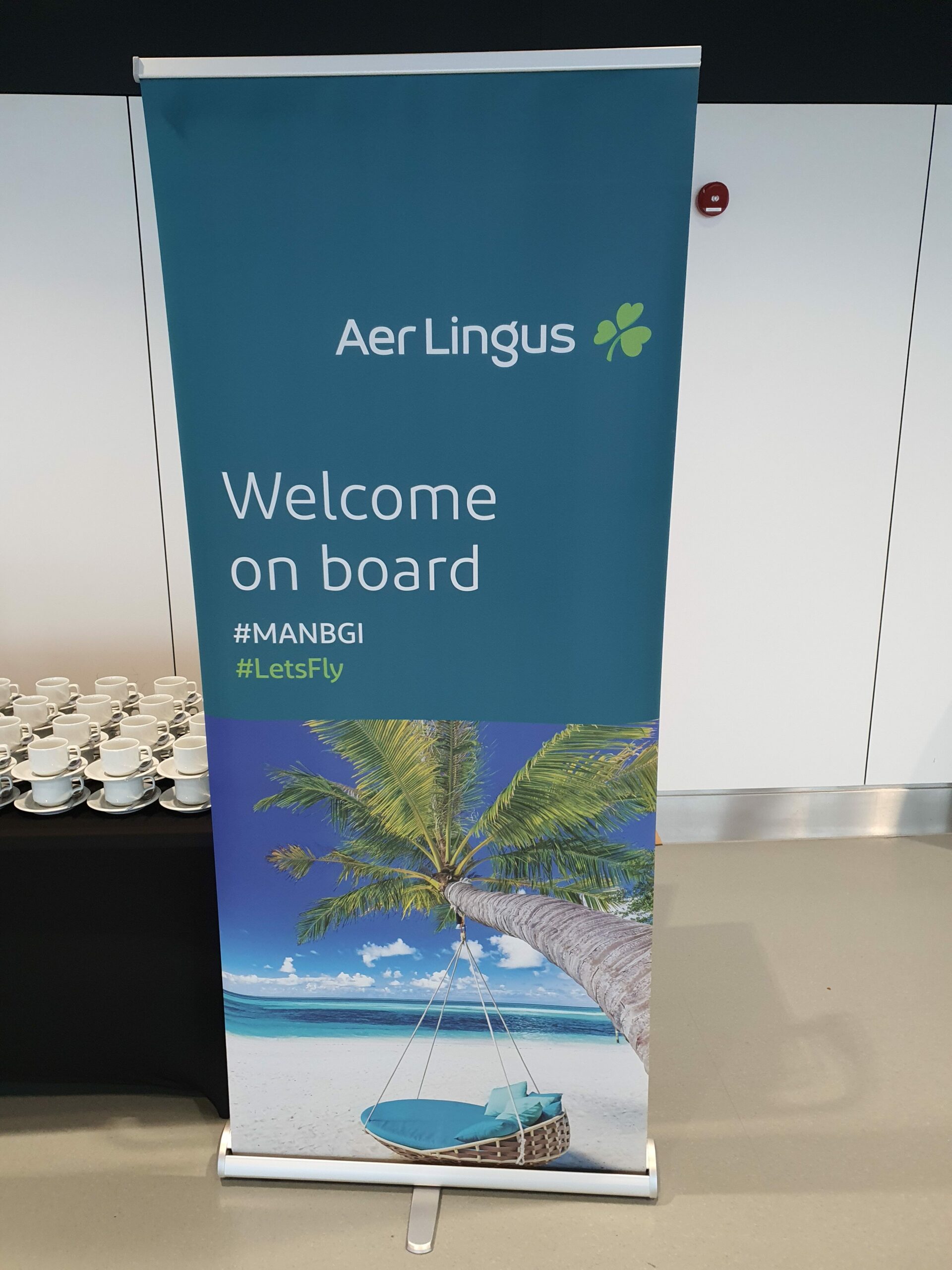 Aer Lingus welcome cupcakes