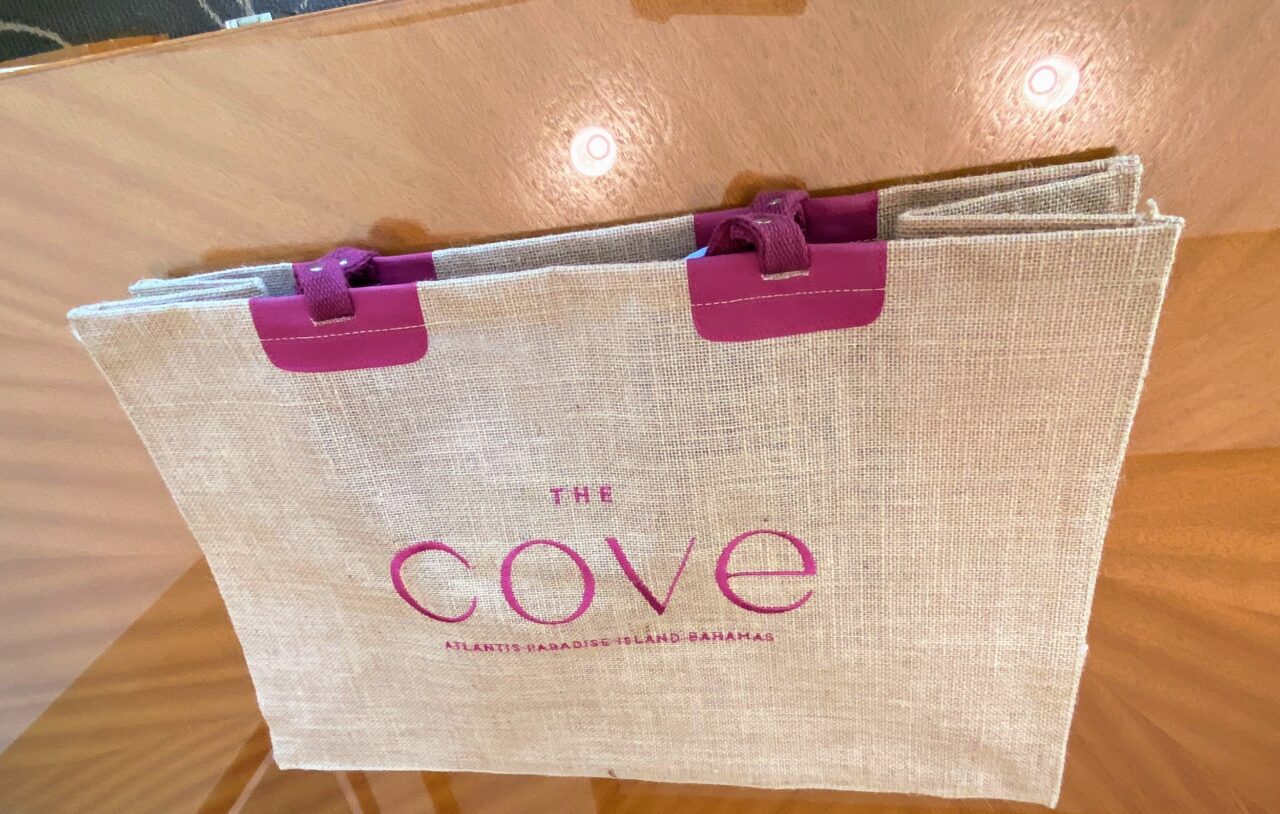 The Cove Bag