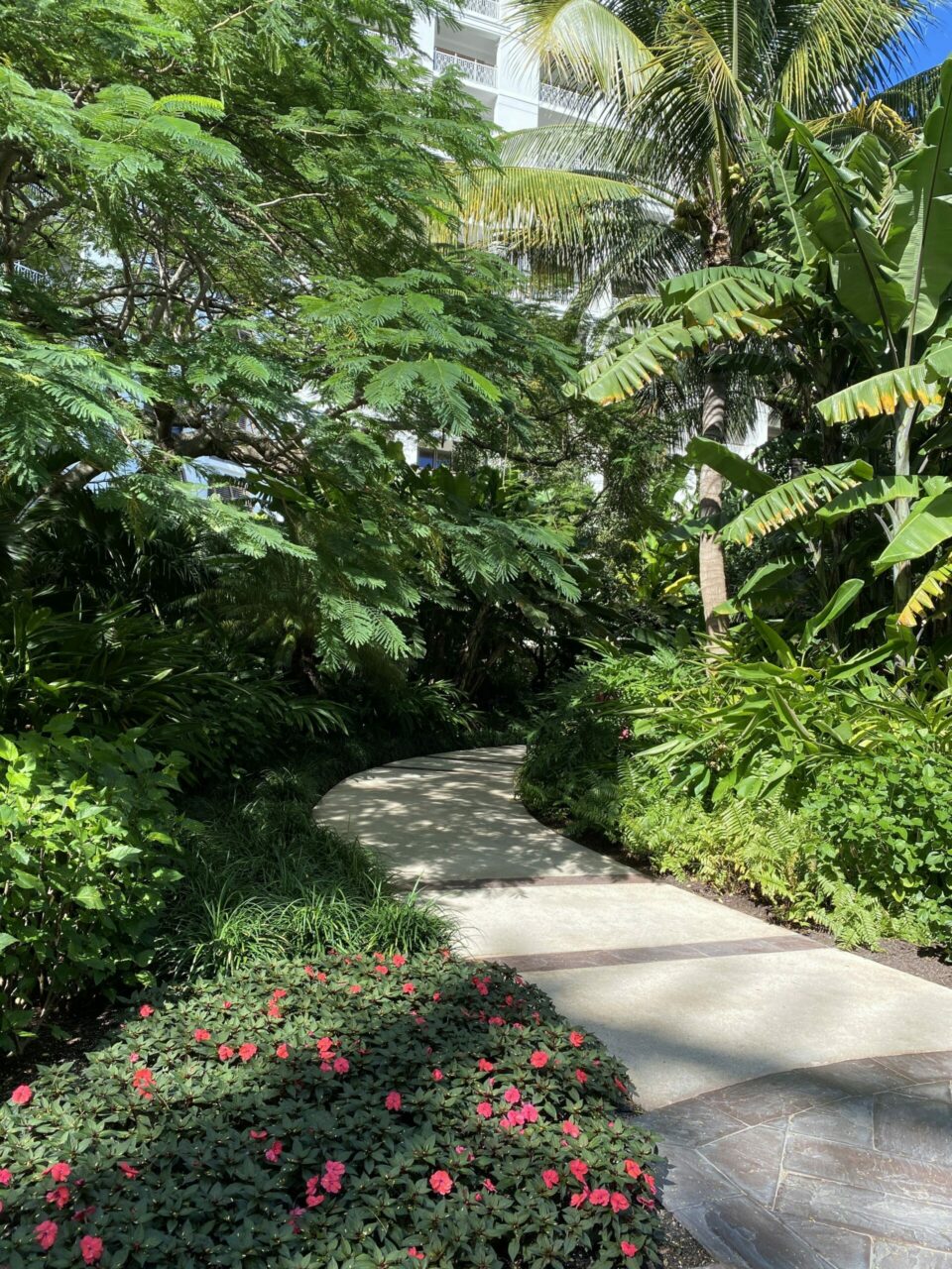 Grand Hyatt Hotel Baha Mar Gardens 