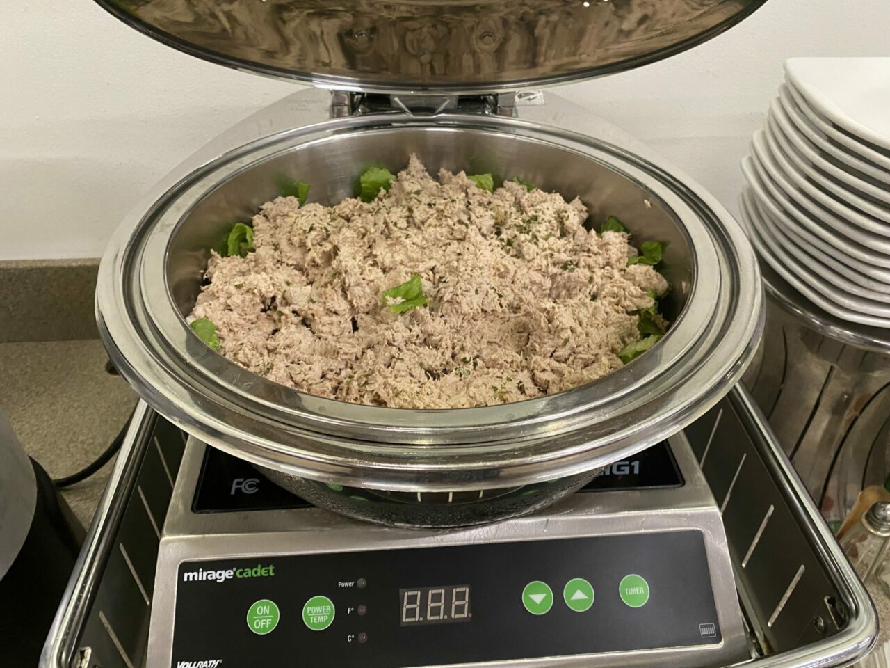 Big Dish of Tuna 