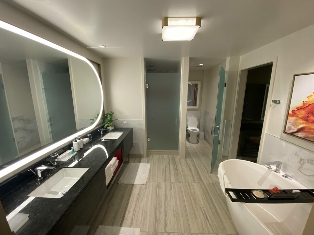 Conrad & Hilton hotels Las Vegas bathroom review 
