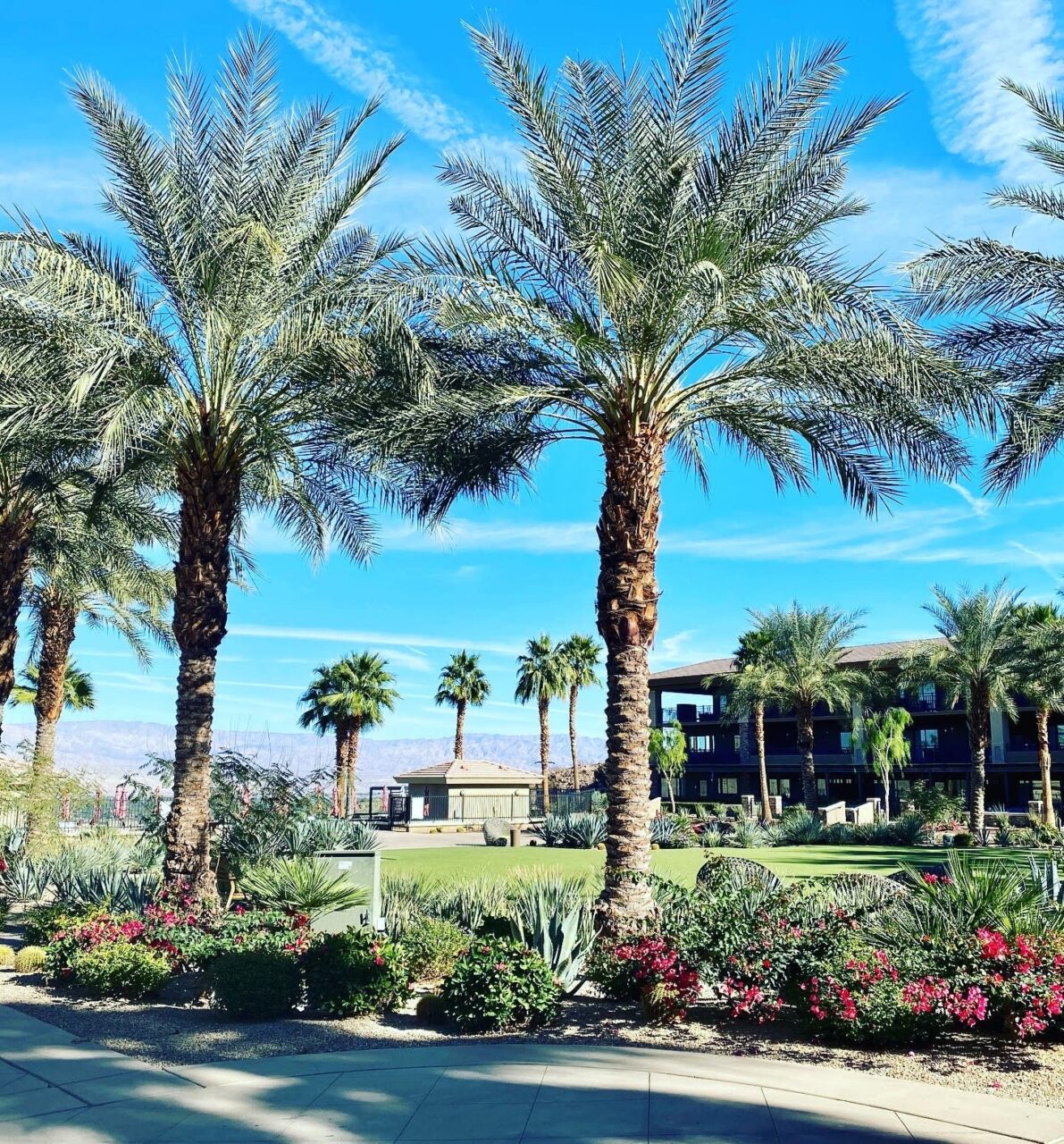 The Ritz Carlton Rancho Mirage hotel 