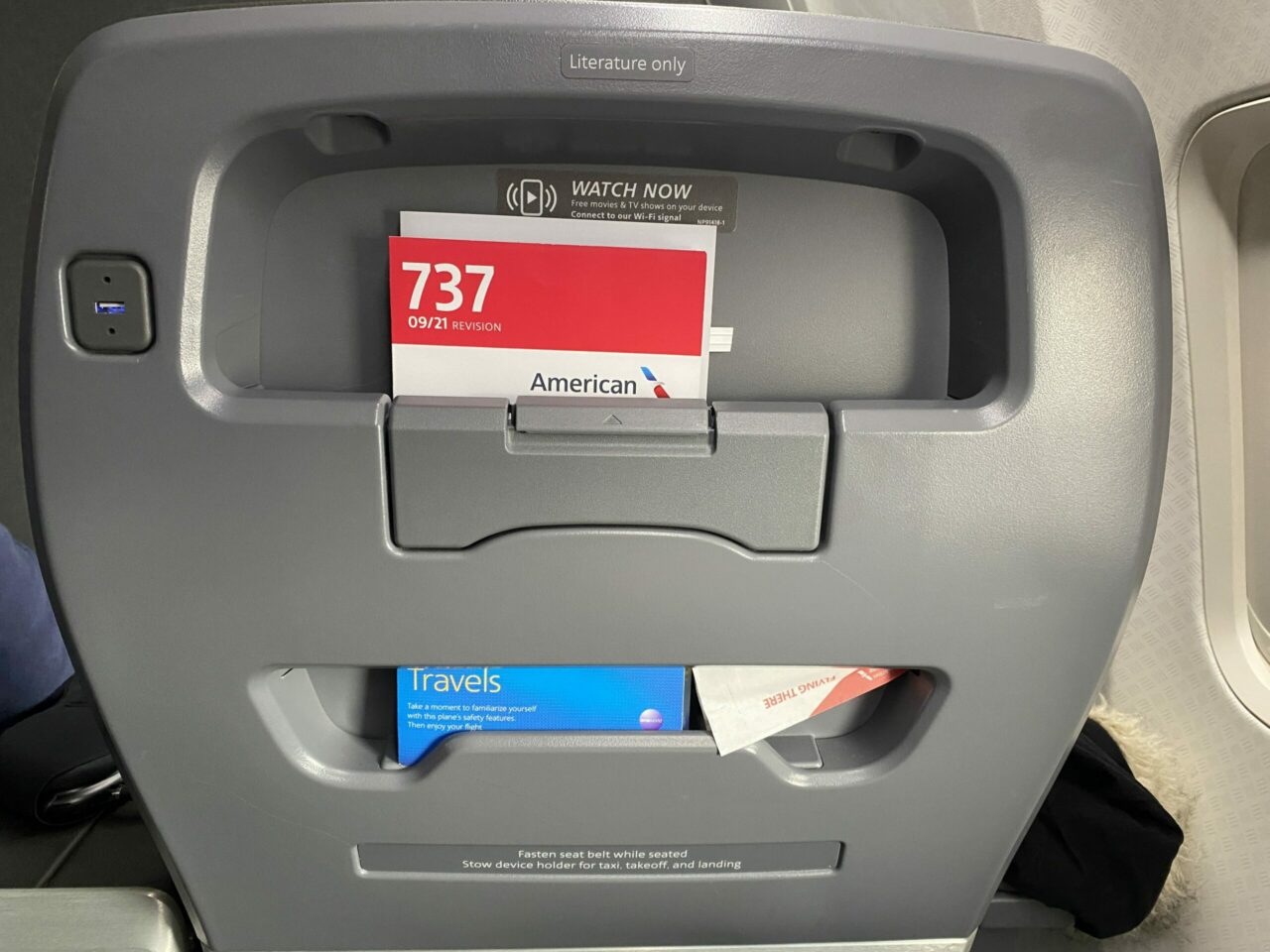 American Airlines Domestic First B737-800 back seat 