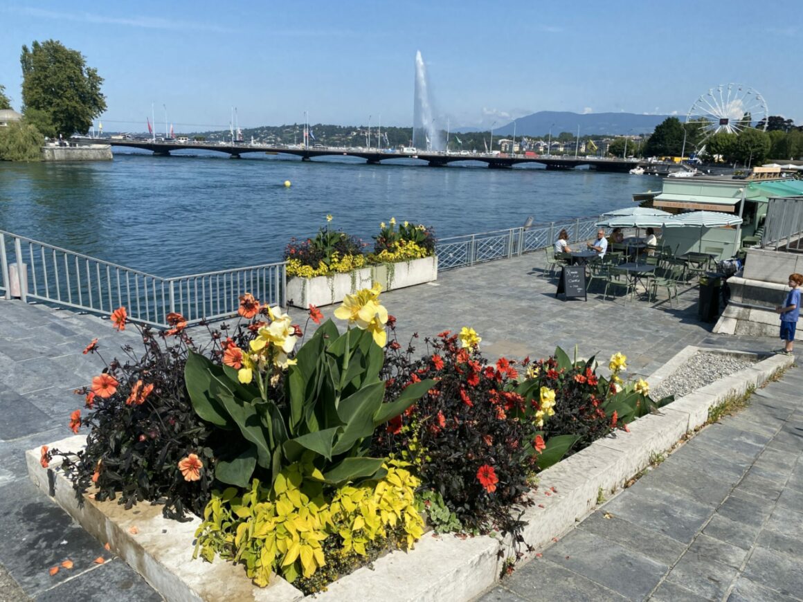 Jardin's Du Rhone Geneva is the perfect summer break