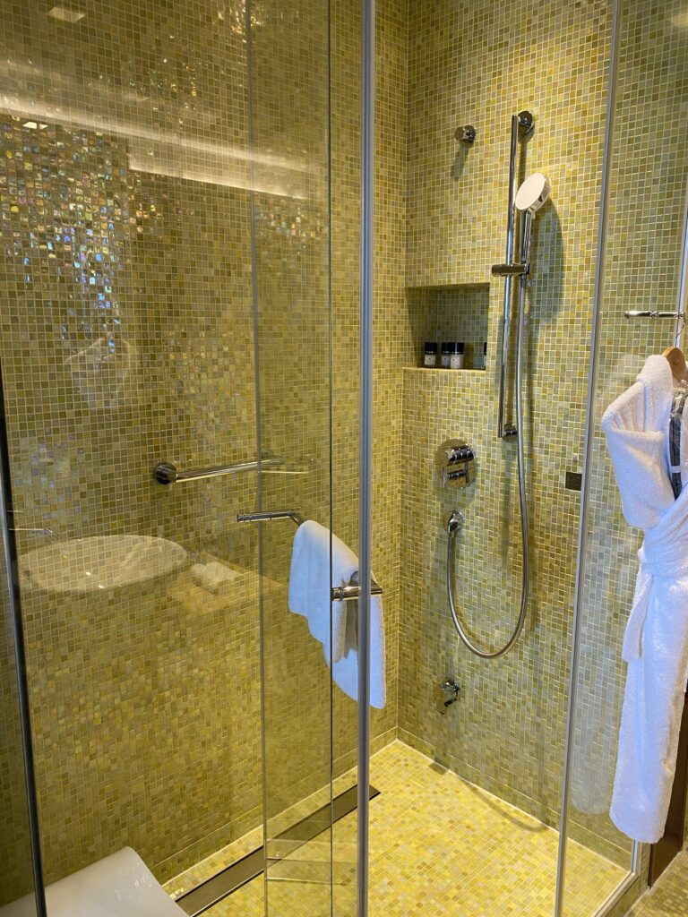 Hotel Metropole review shower room 