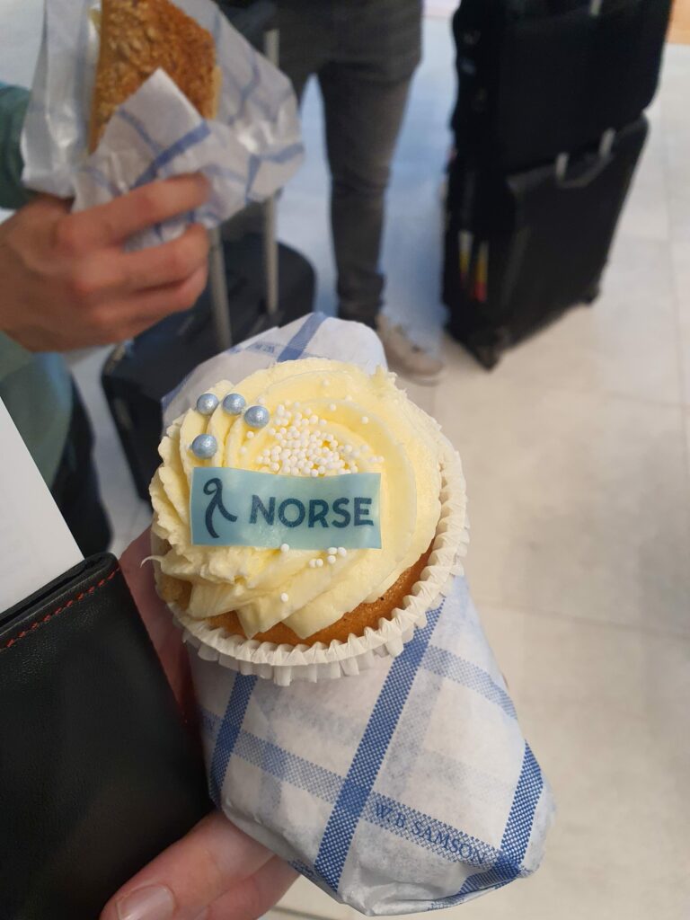 Norse Cupcake 