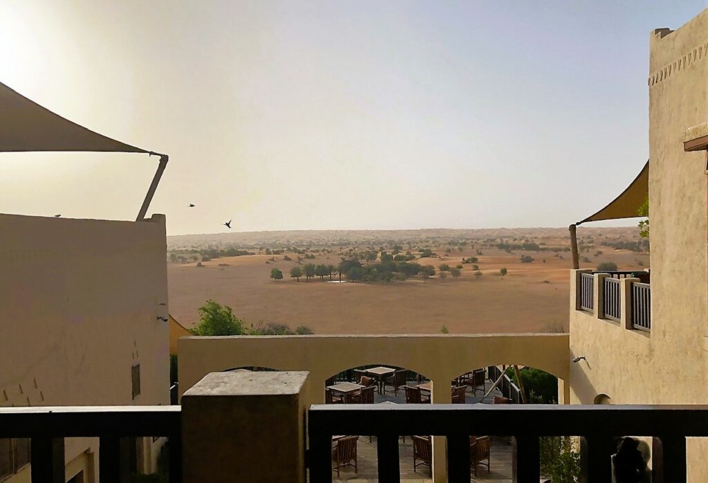 Al Maha Dubai restaurant view