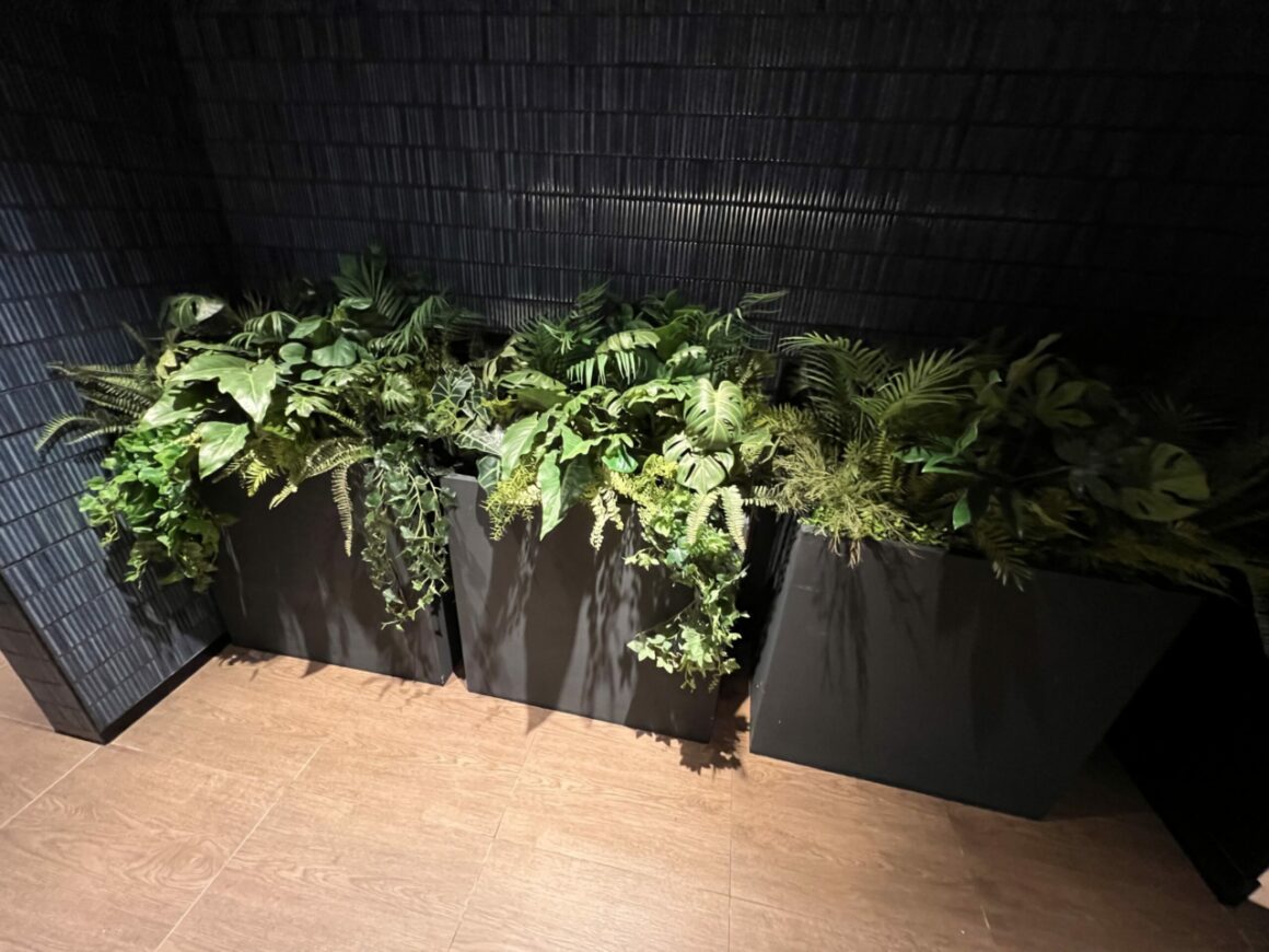 Chase Sapphire Lounge plants