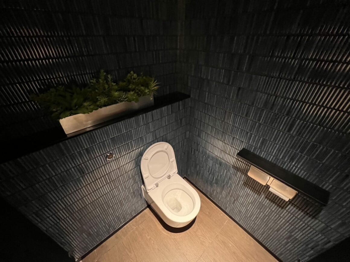 Chase Sapphire Lounge bathroom toilet