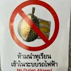 No Durian Allowed Thailand