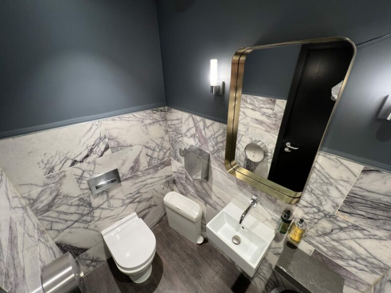 Gatwick's Premium Clubroom Lounge toilet 