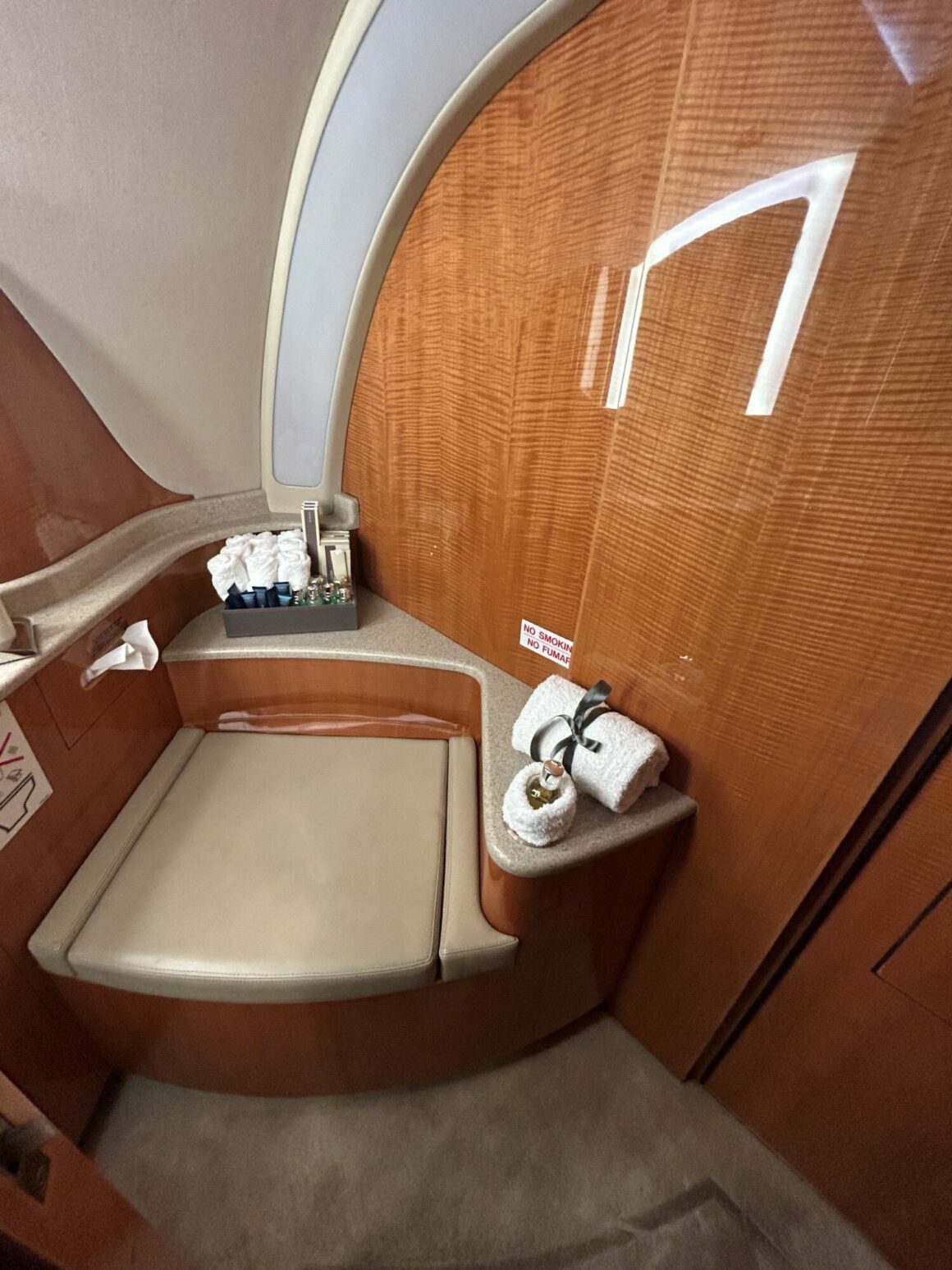 Private jet empty leg with Luxaviation Posh Toilet 