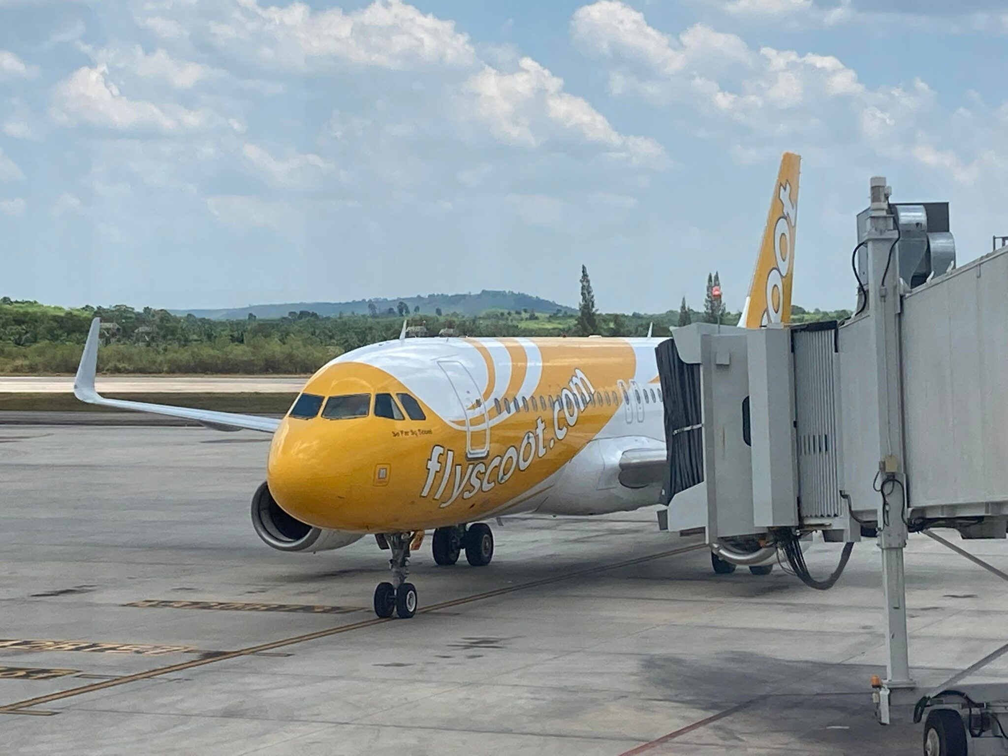 Using Scoot to Get Around Asia + Full Scoot A320 Review [Krabi to
